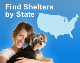 Find Shelters by State